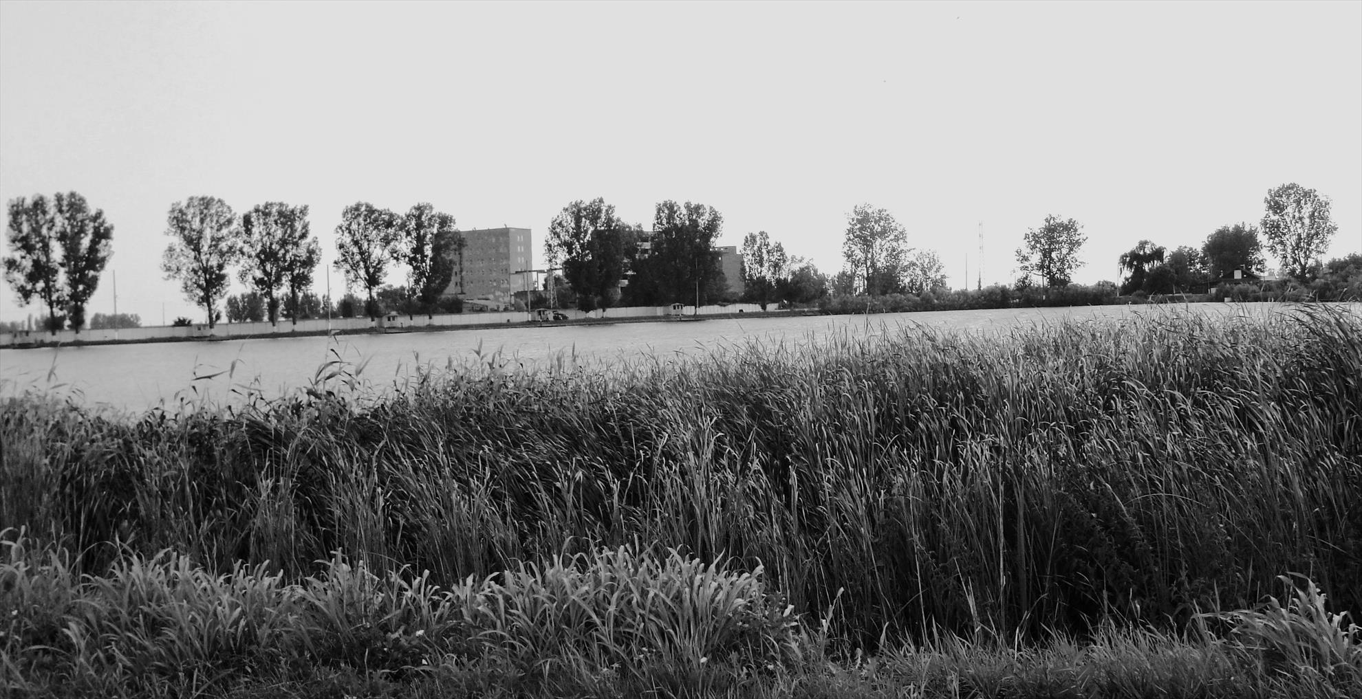 Pleasa 6 - 7 iul. - dsc00818.JPG